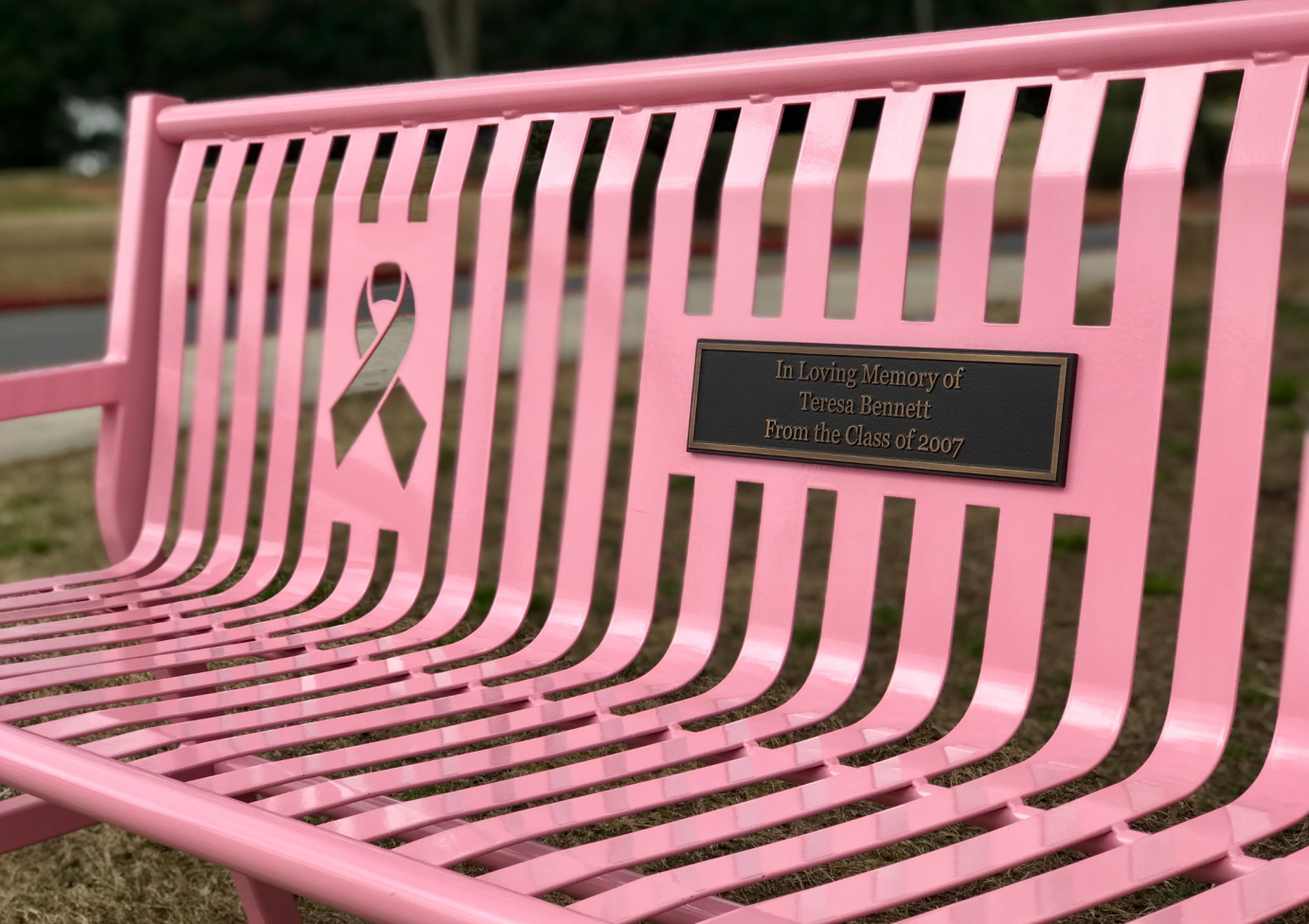 UltraSite Jackson Awareness Bench 96-S6